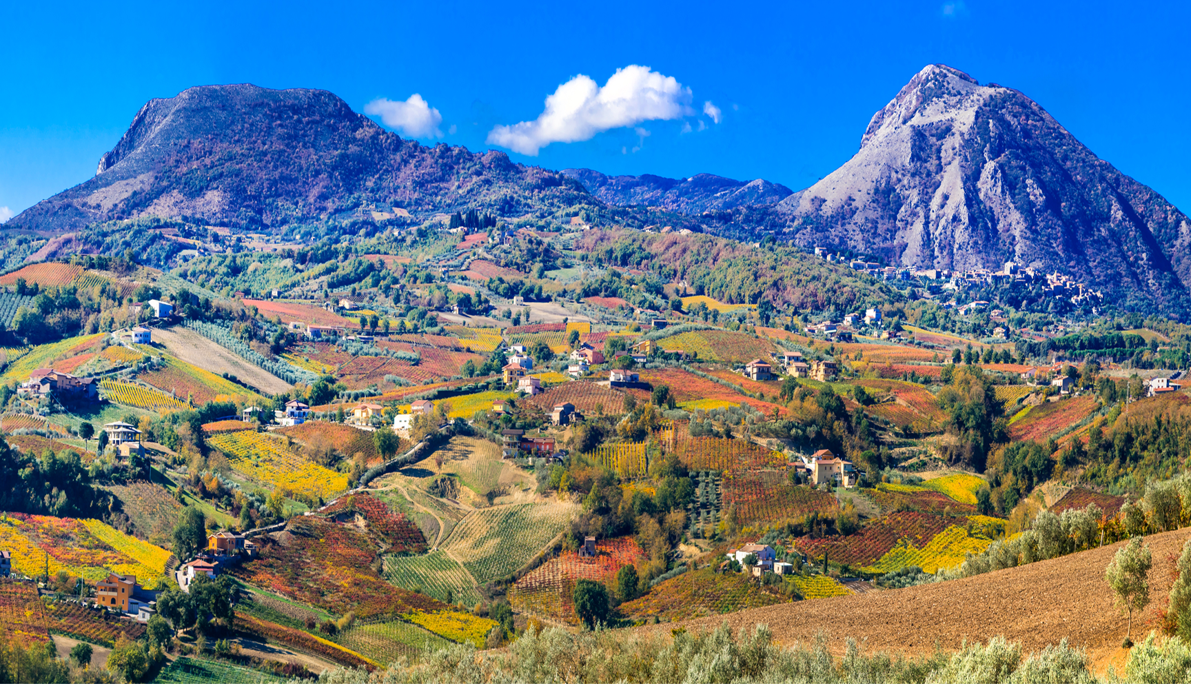 Scopri la qualità dell’acqua che arriva nel rubinetto di casa tua Immagine panoramica dei vigneti in provincia di Benevento con due montagne alle loro spalle