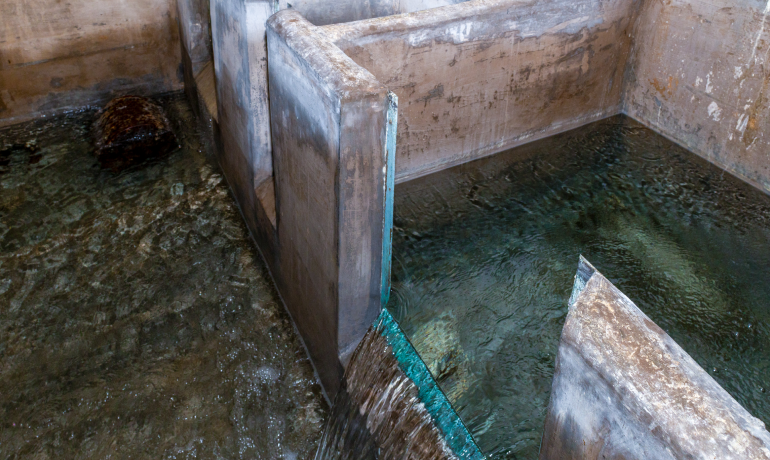 Vasca d'acqua in cemento