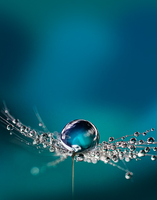 Depuratore d'acqua